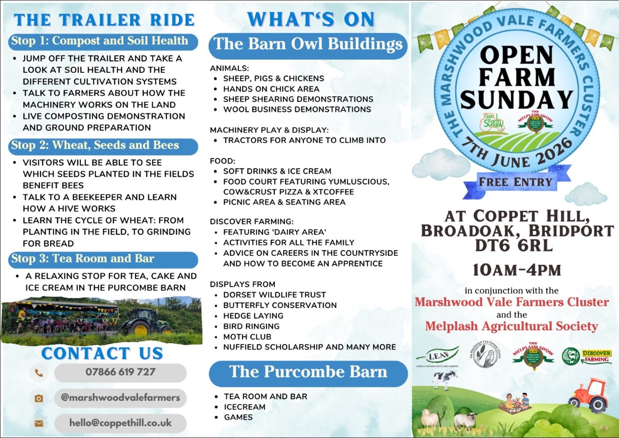 flyer
